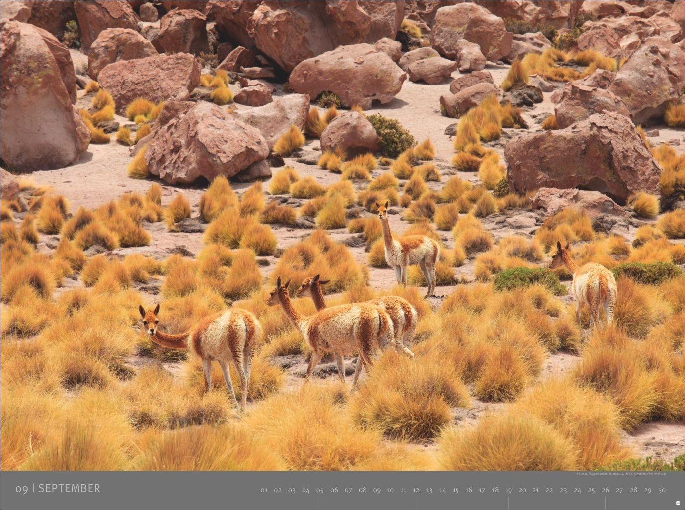 Beispielinhalt (Bild) Südamerika - Edition Alexander von Humboldt Kalender 2027