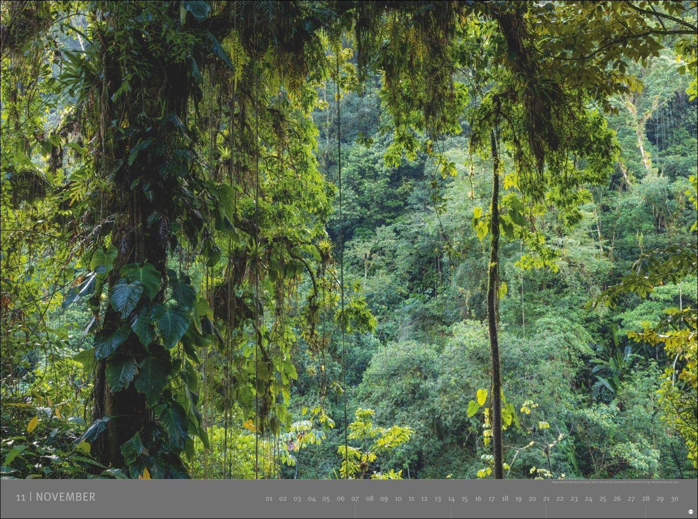 Beispielinhalt (Bild) Südamerika - Edition Alexander von Humboldt Kalender 2027