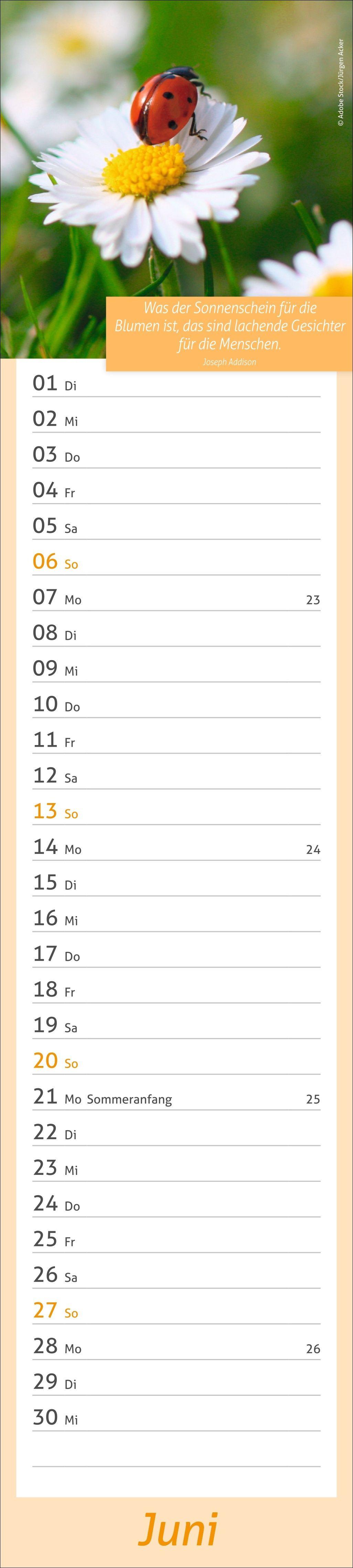 Beispielinhalt (Bild) times&more Tage voller Glück Langplaner 2027
