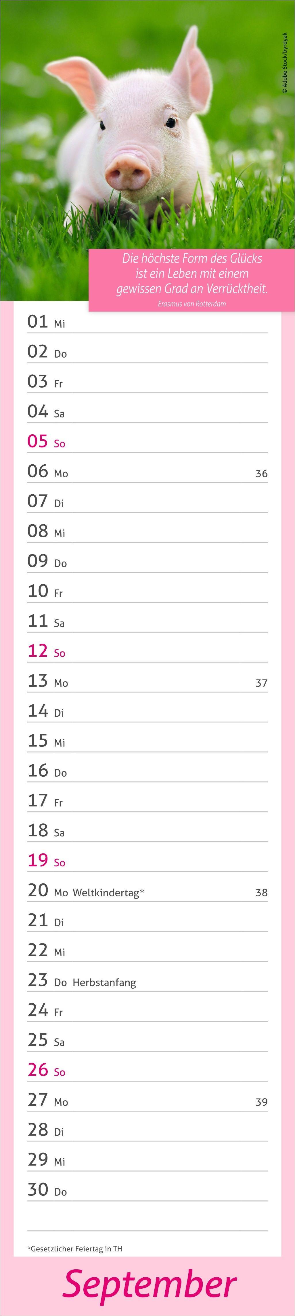 Beispielinhalt (Bild) times&more Tage voller Glück Langplaner 2027