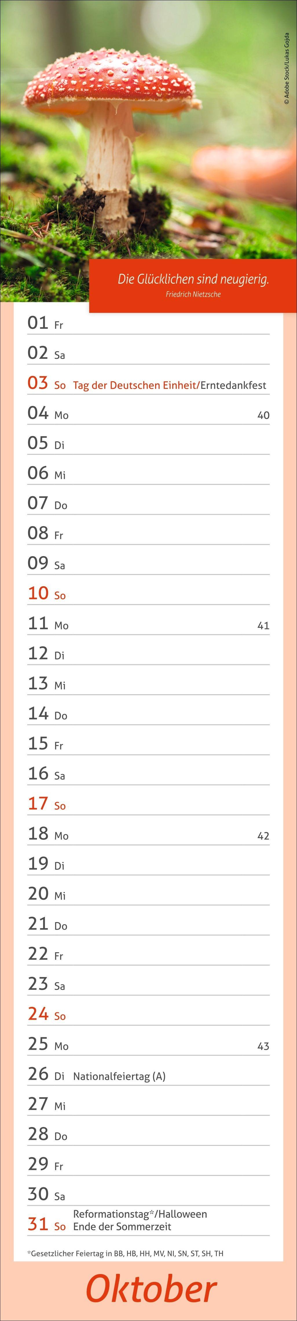 Beispielinhalt (Bild) times&more Tage voller Glück Langplaner 2027