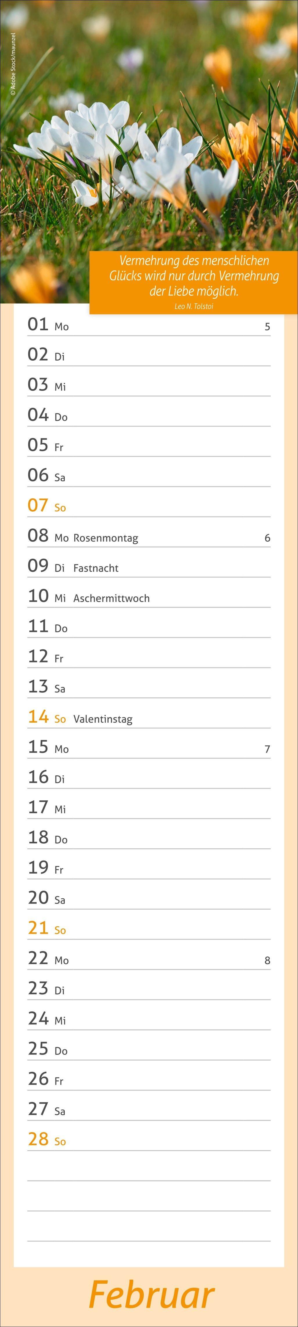 Beispielinhalt (Bild) times&more Tage voller Glück Langplaner 2027
