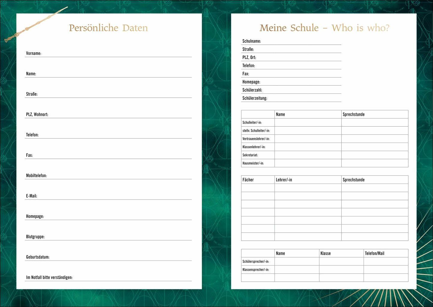 Beispielinhalt (Bild) Harry Potter 17-Monats-Kalenderbuch A5 2027 - 17 Monate. Von August 2026 bis Dezember 2027