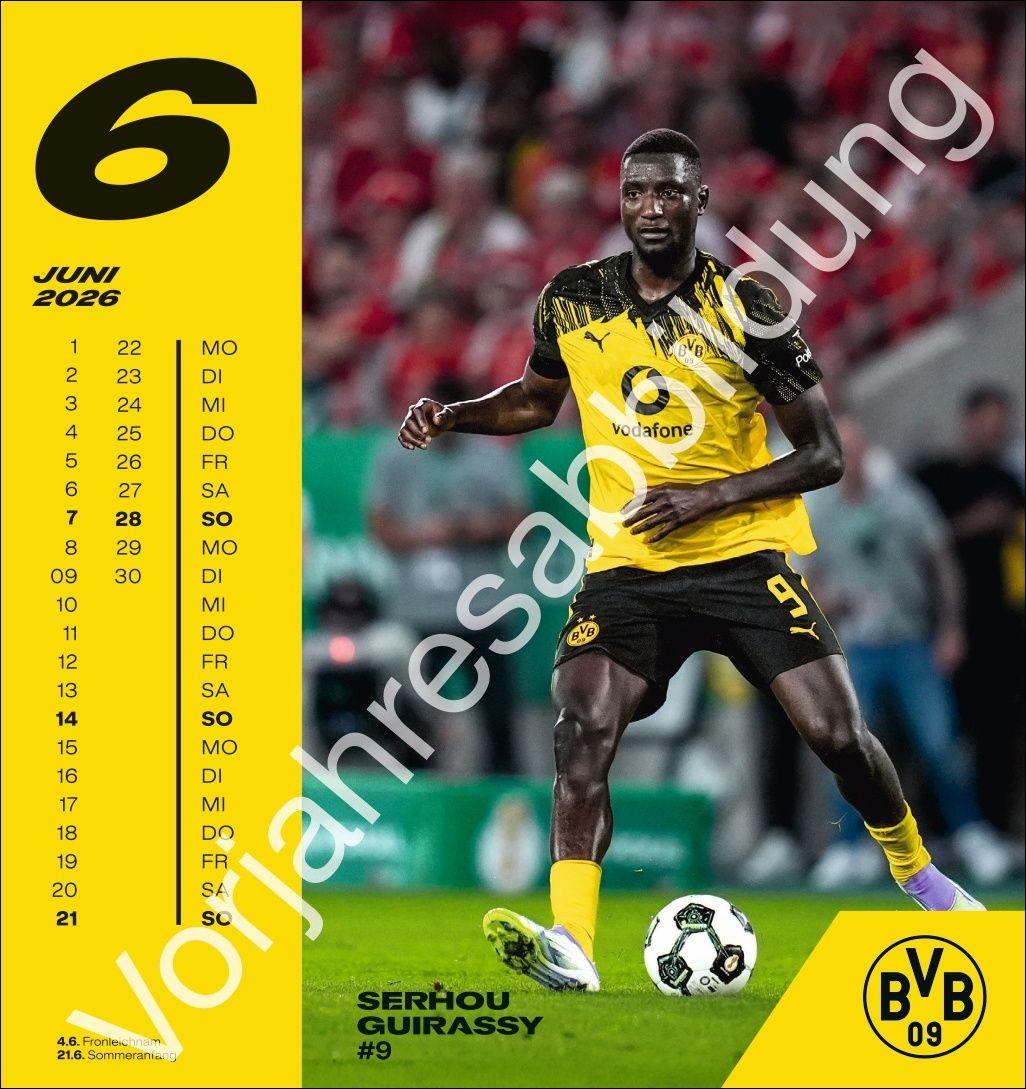 Beispielinhalt (Bild) BVB Postkartenkalender 2027
