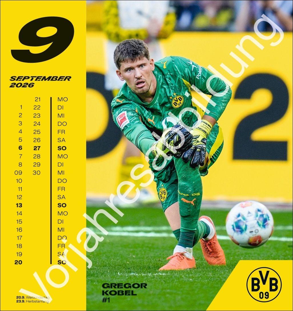 Beispielinhalt (Bild) BVB Postkartenkalender 2027