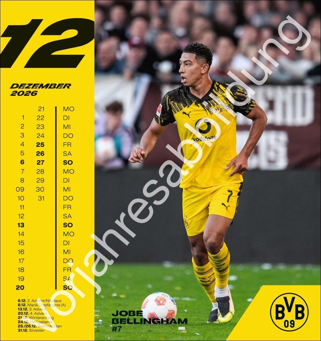 Beispielinhalt (Bild) BVB Postkartenkalender 2027