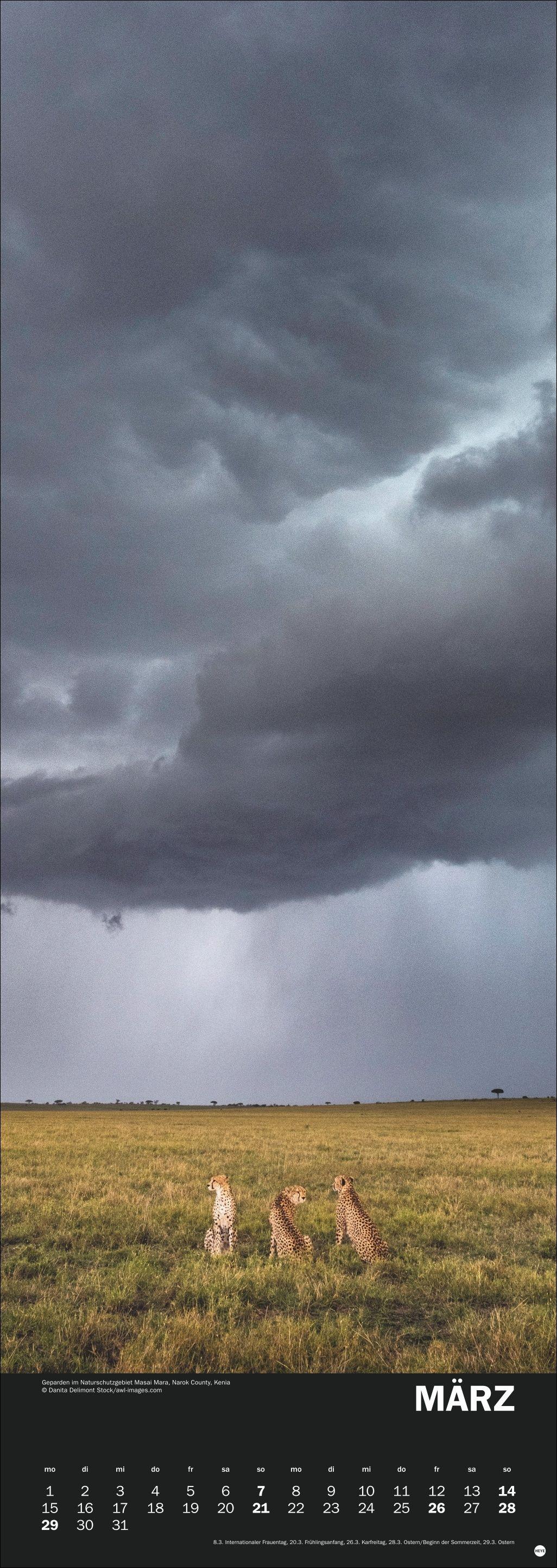 Beispielinhalt (Bild) Naturgewalten Vertical Kalender 2027