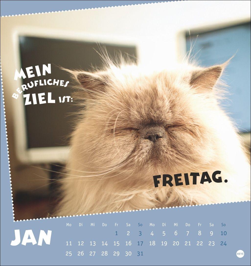 Beispielinhalt (Bild) Mach mal Pause Postkartenkalender 2027 - Für das Arbeitstier in dir