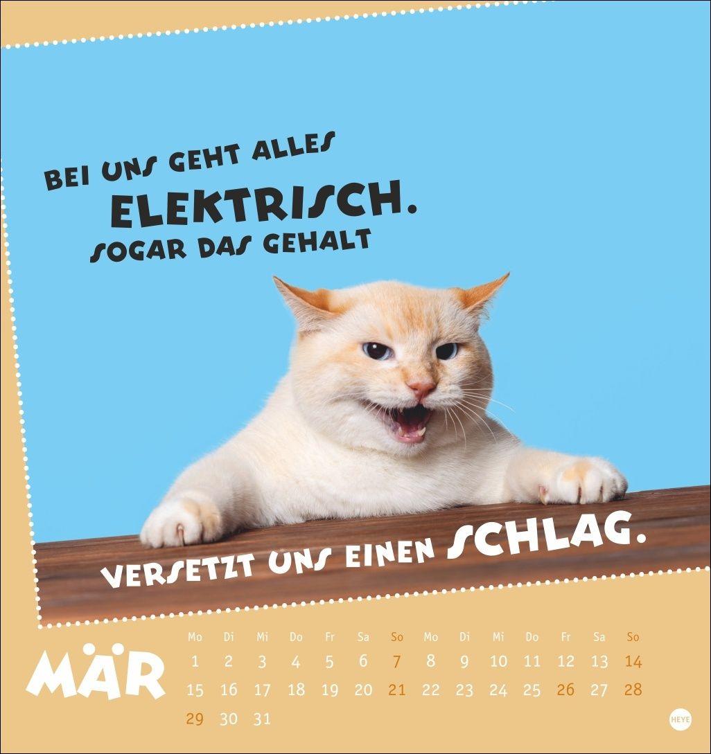 Beispielinhalt (Bild) Mach mal Pause Postkartenkalender 2027 - Für das Arbeitstier in dir