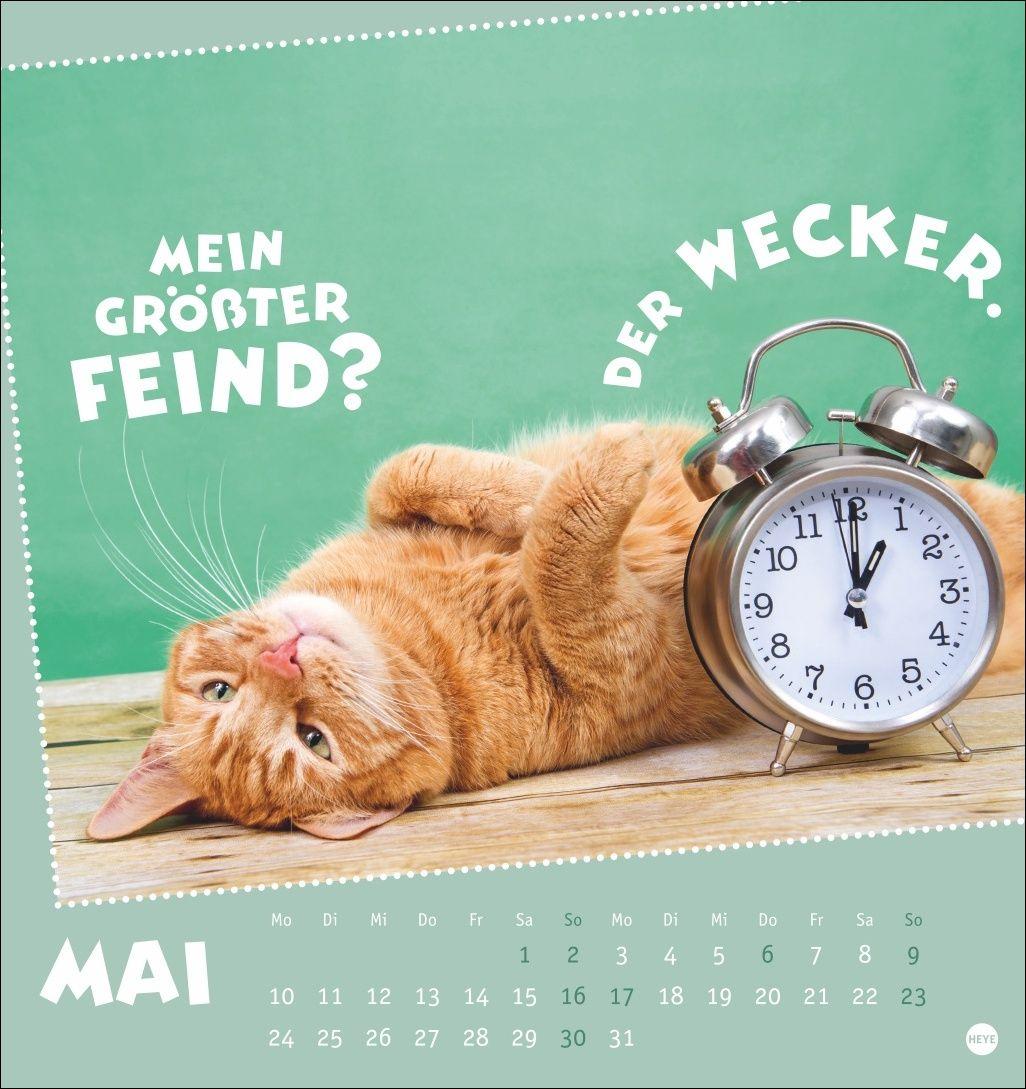 Beispielinhalt (Bild) Mach mal Pause Postkartenkalender 2027 - Für das Arbeitstier in dir