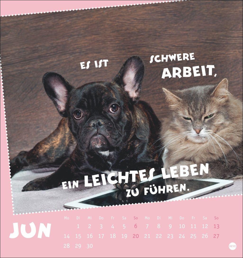 Beispielinhalt (Bild) Mach mal Pause Postkartenkalender 2027 - Für das Arbeitstier in dir