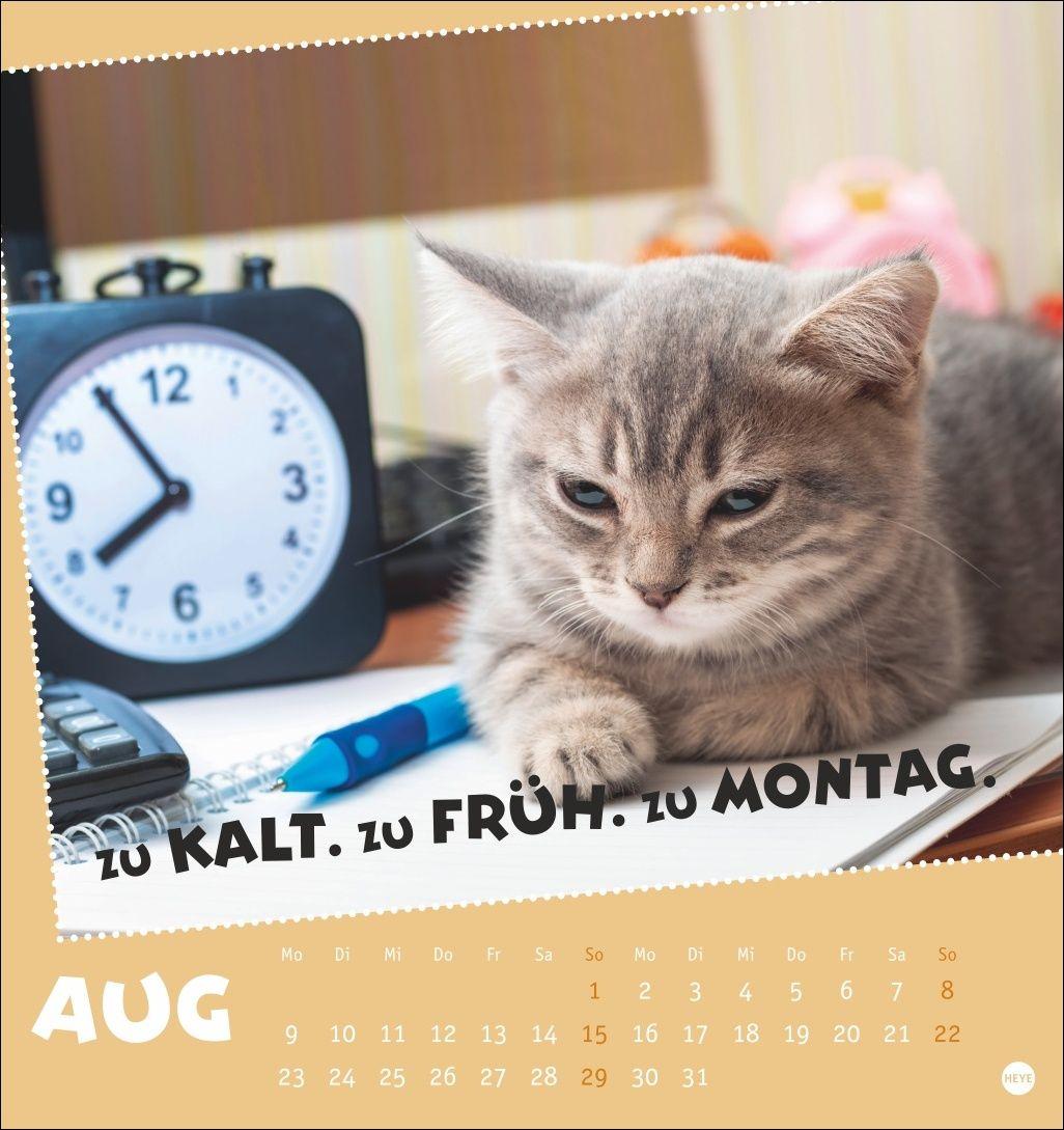 Beispielinhalt (Bild) Mach mal Pause Postkartenkalender 2027 - Für das Arbeitstier in dir