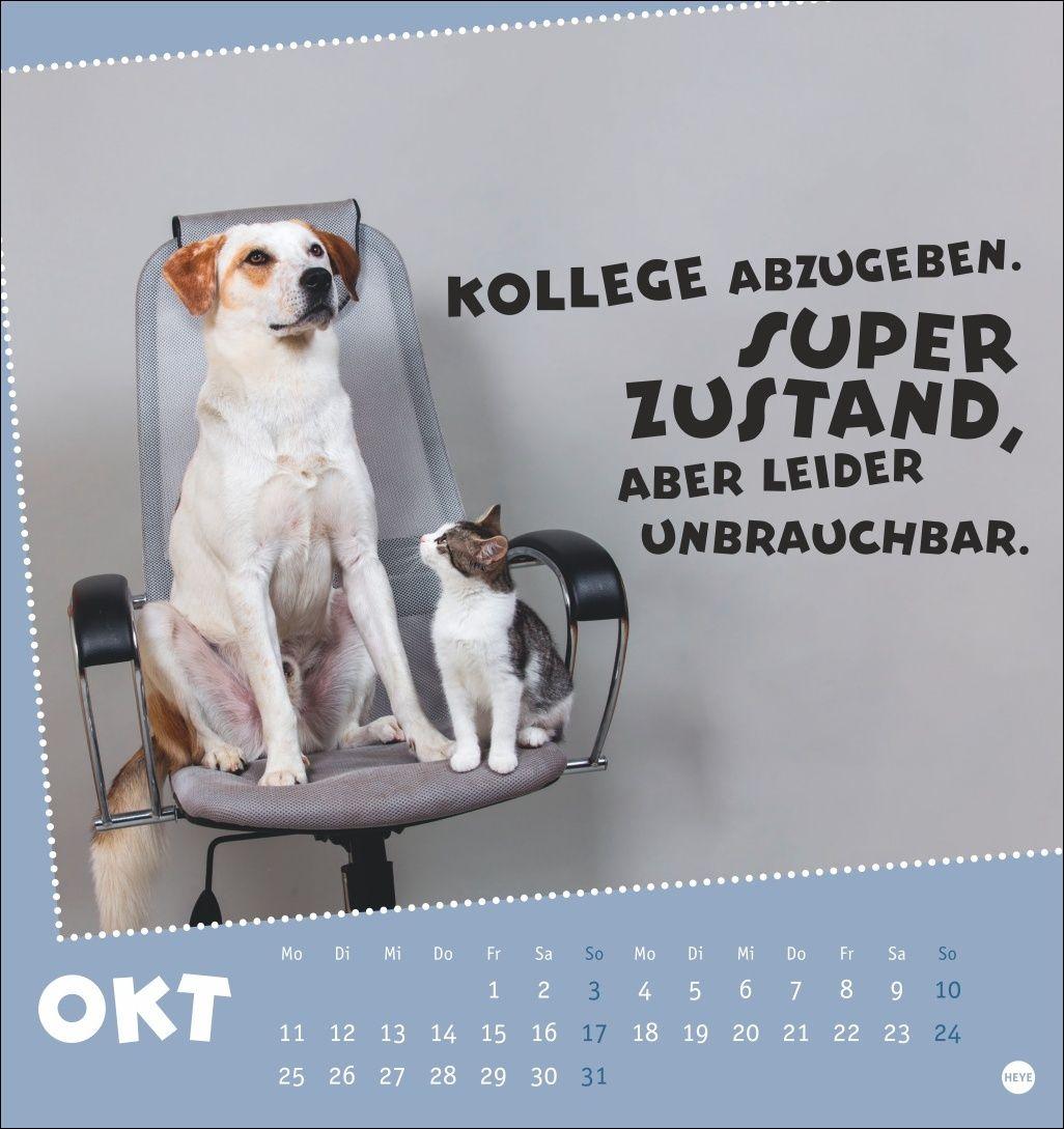 Beispielinhalt (Bild) Mach mal Pause Postkartenkalender 2027 - Für das Arbeitstier in dir