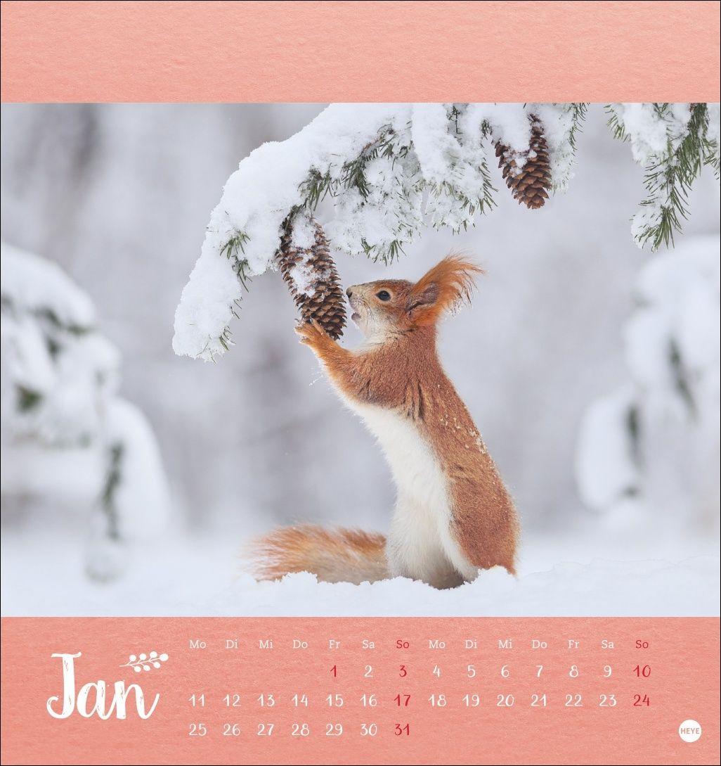 Beispielinhalt (Bild) Vadim Trunov: Märchenhaftes Waldleben Postkartenkalender 2027