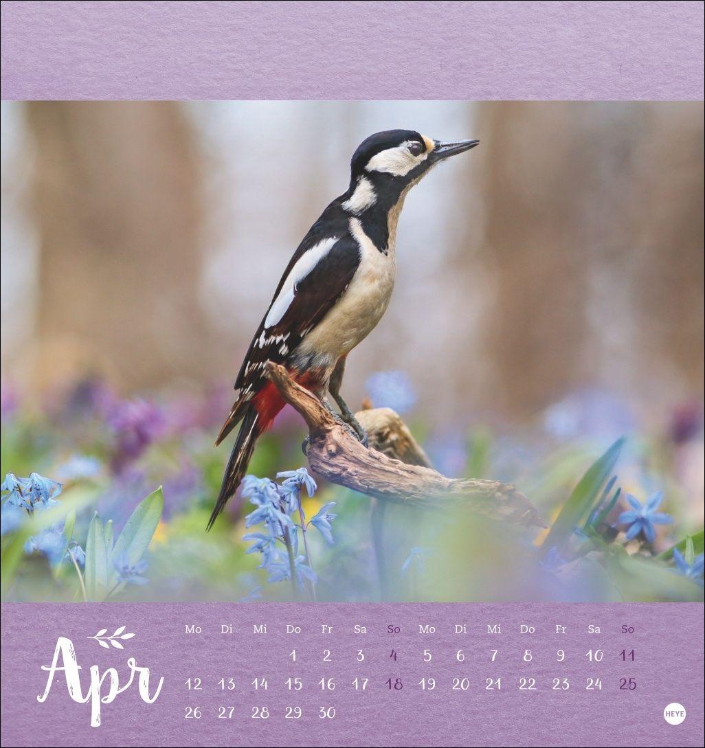 Beispielinhalt (Bild) Vadim Trunov: Märchenhaftes Waldleben Postkartenkalender 2027