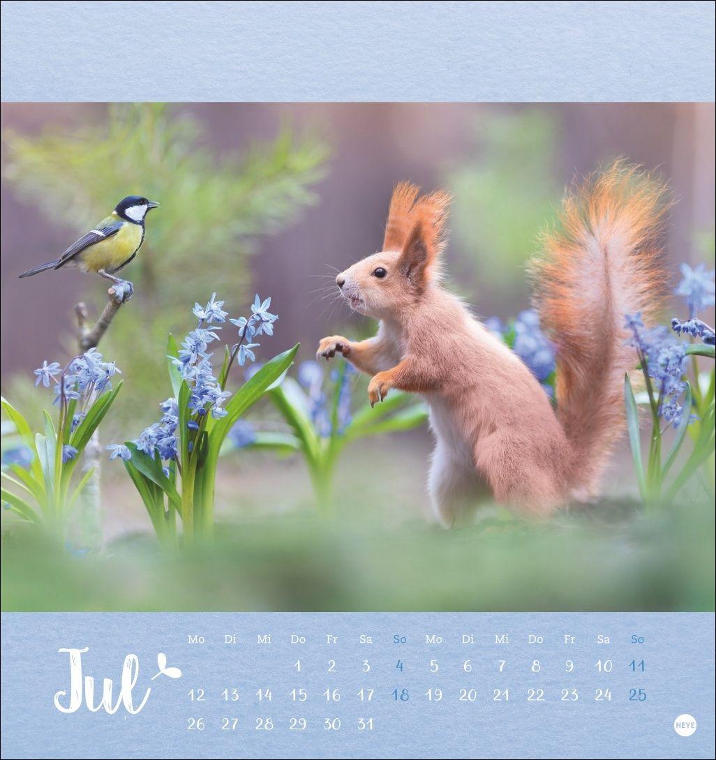 Beispielinhalt (Bild) Vadim Trunov: Märchenhaftes Waldleben Postkartenkalender 2027