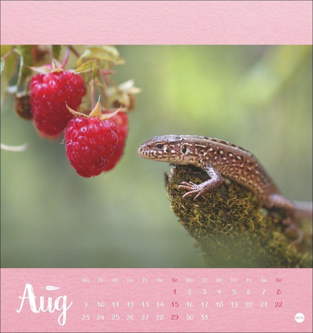 Beispielinhalt (Bild) Vadim Trunov: Märchenhaftes Waldleben Postkartenkalender 2027