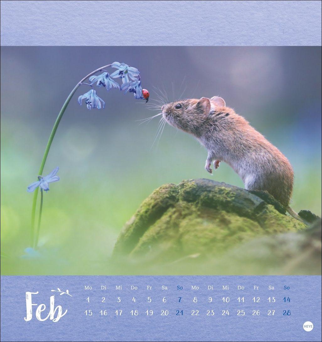 Beispielinhalt (Bild) Vadim Trunov: Märchenhaftes Waldleben Postkartenkalender 2027