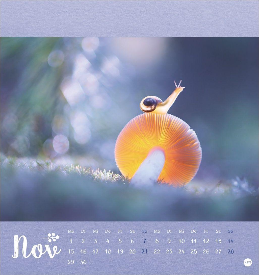 Beispielinhalt (Bild) Vadim Trunov: Märchenhaftes Waldleben Postkartenkalender 2027