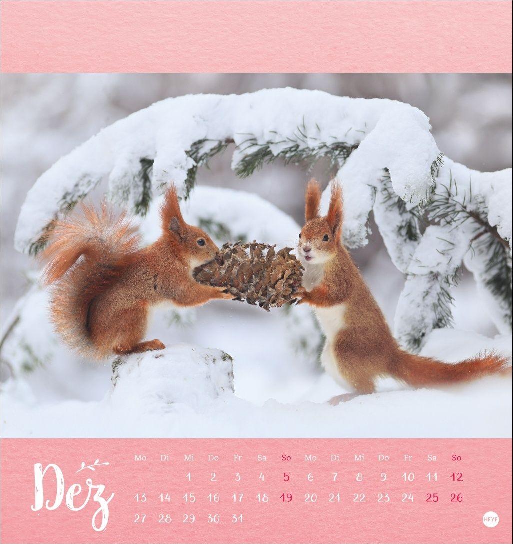 Beispielinhalt (Bild) Vadim Trunov: Märchenhaftes Waldleben Postkartenkalender 2027