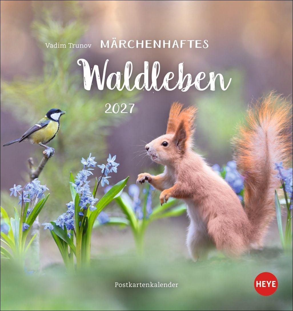 Vorderes Coverbild Vadim Trunov: Märchenhaftes Waldleben Postkartenkalender 2027