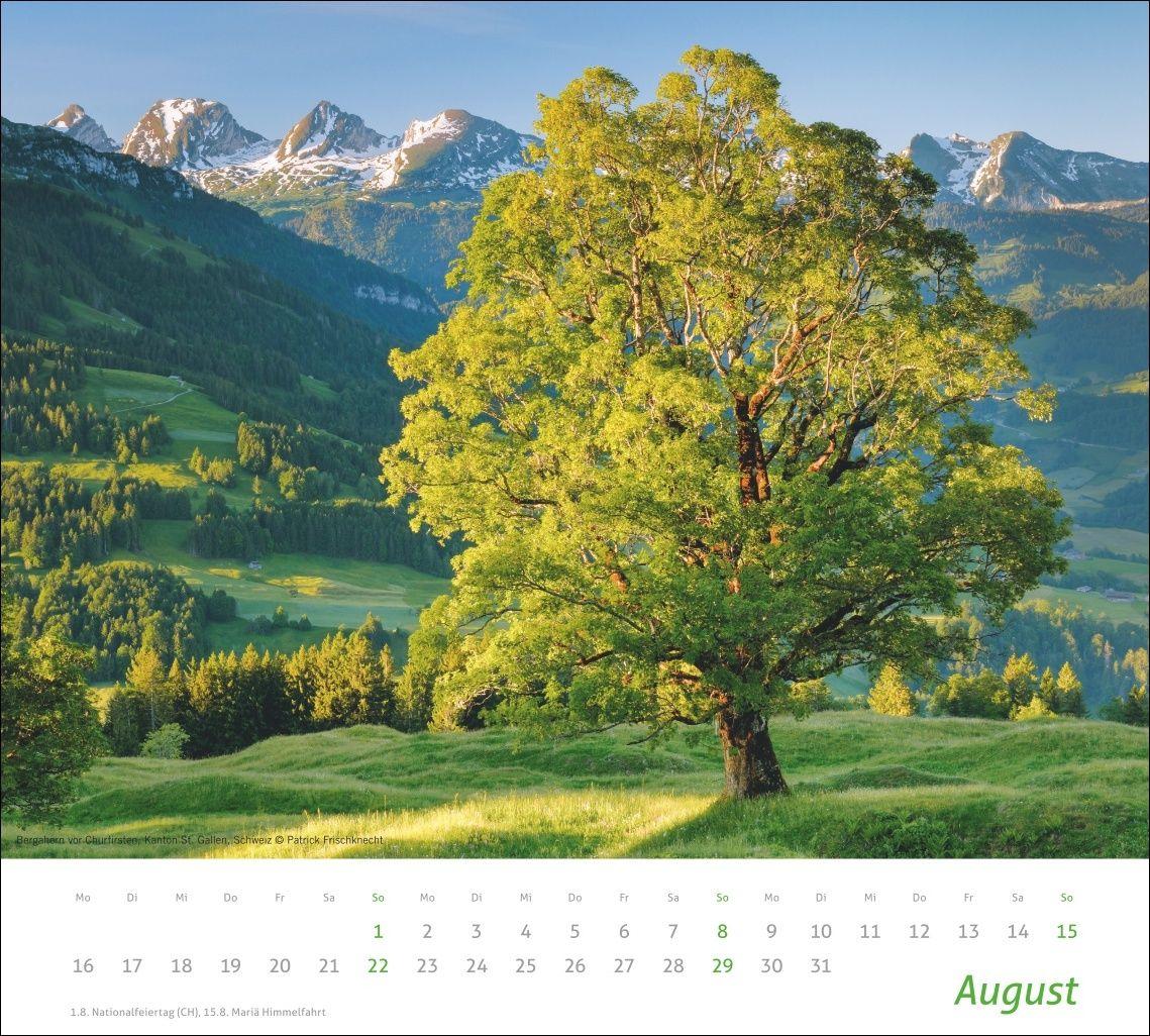 Beispielinhalt (Bild) times&more Alpen Bildkalender 2027