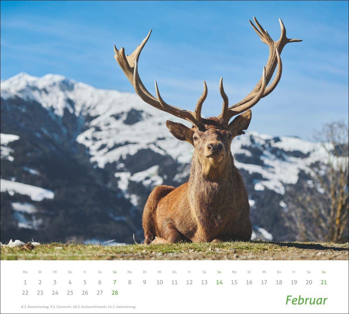Beispielinhalt (Bild) times&more Alpen Bildkalender 2027