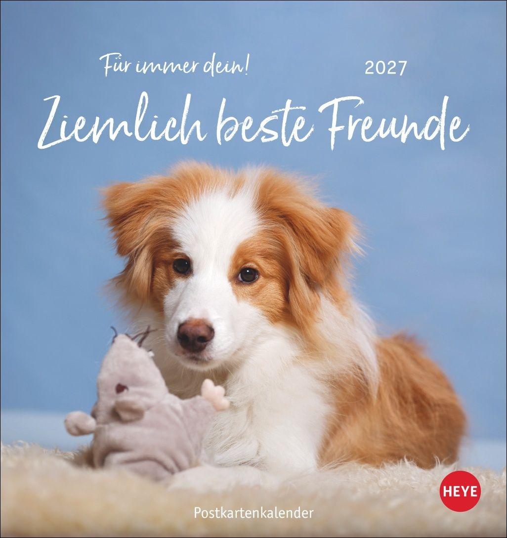 Vorderes Coverbild Ziemlich beste Freunde Postkartenkalender 2027 - Für immer dein