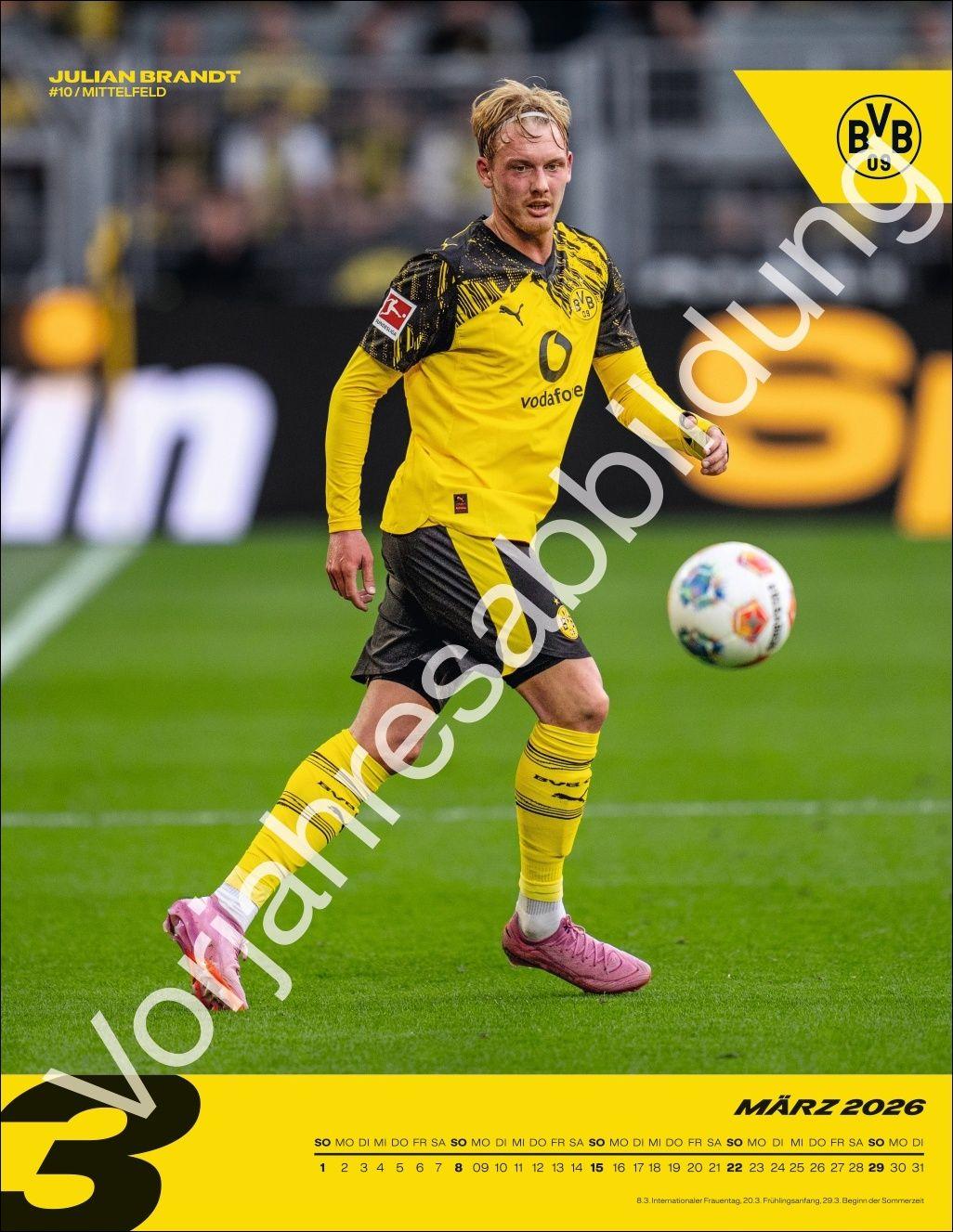 Beispielinhalt (Bild) BVB Posterkalender 2027