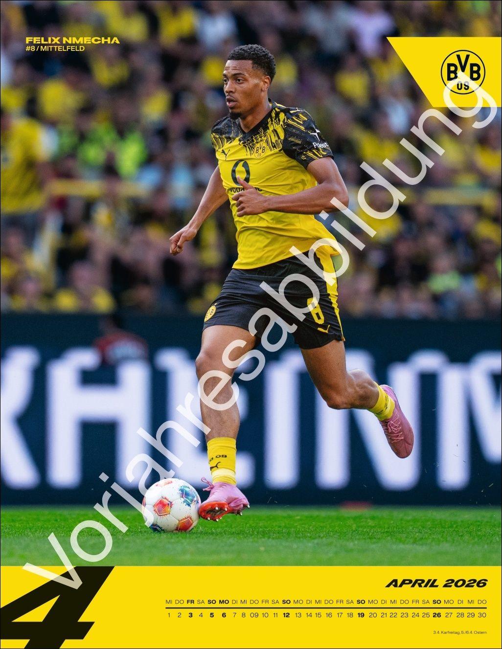 Beispielinhalt (Bild) BVB Posterkalender 2027
