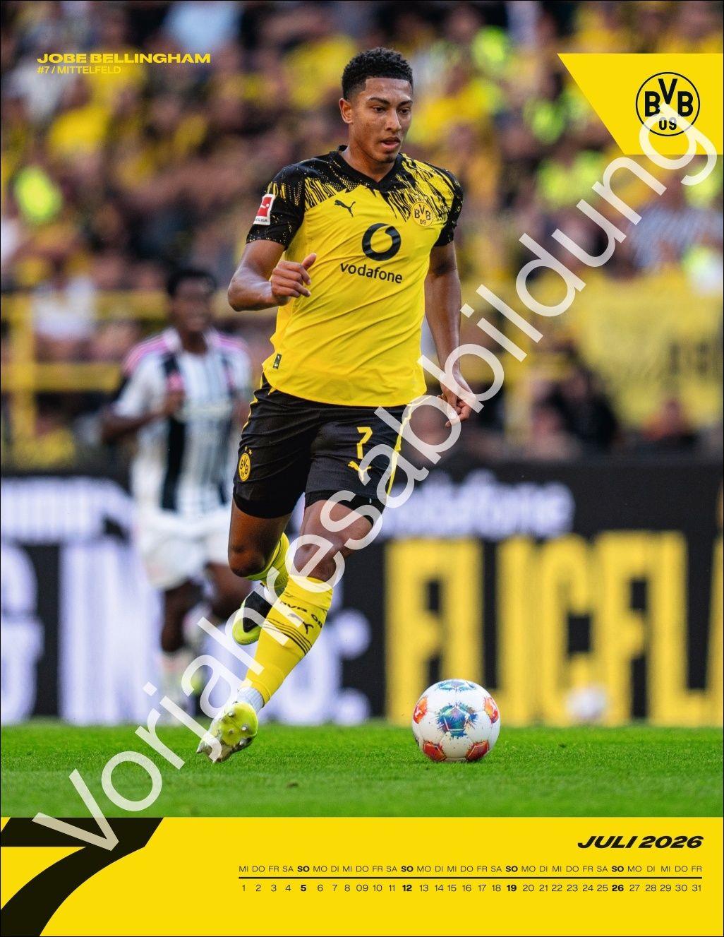 Beispielinhalt (Bild) BVB Posterkalender 2027