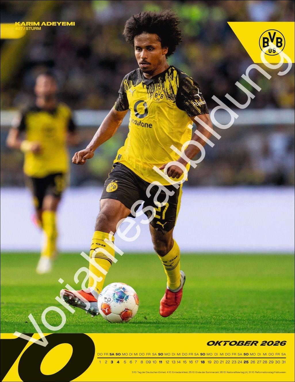 Beispielinhalt (Bild) BVB Posterkalender 2027