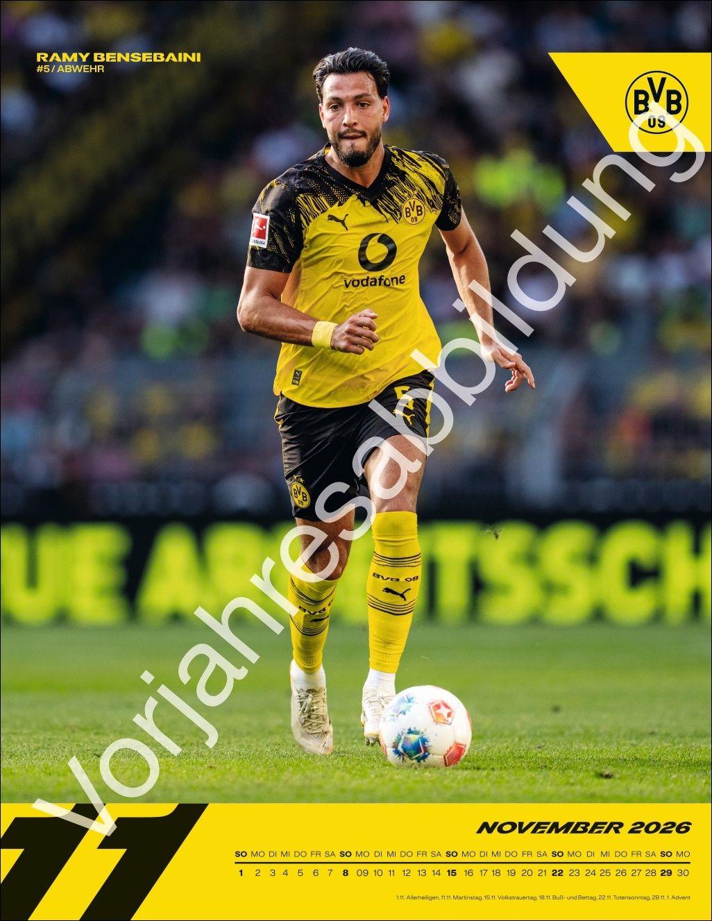 Beispielinhalt (Bild) BVB Posterkalender 2027