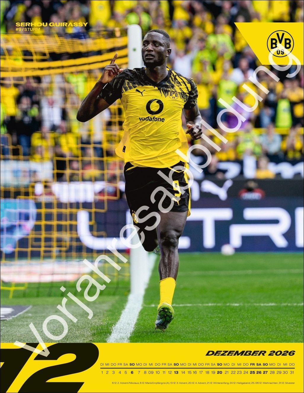 Beispielinhalt (Bild) BVB Posterkalender 2027