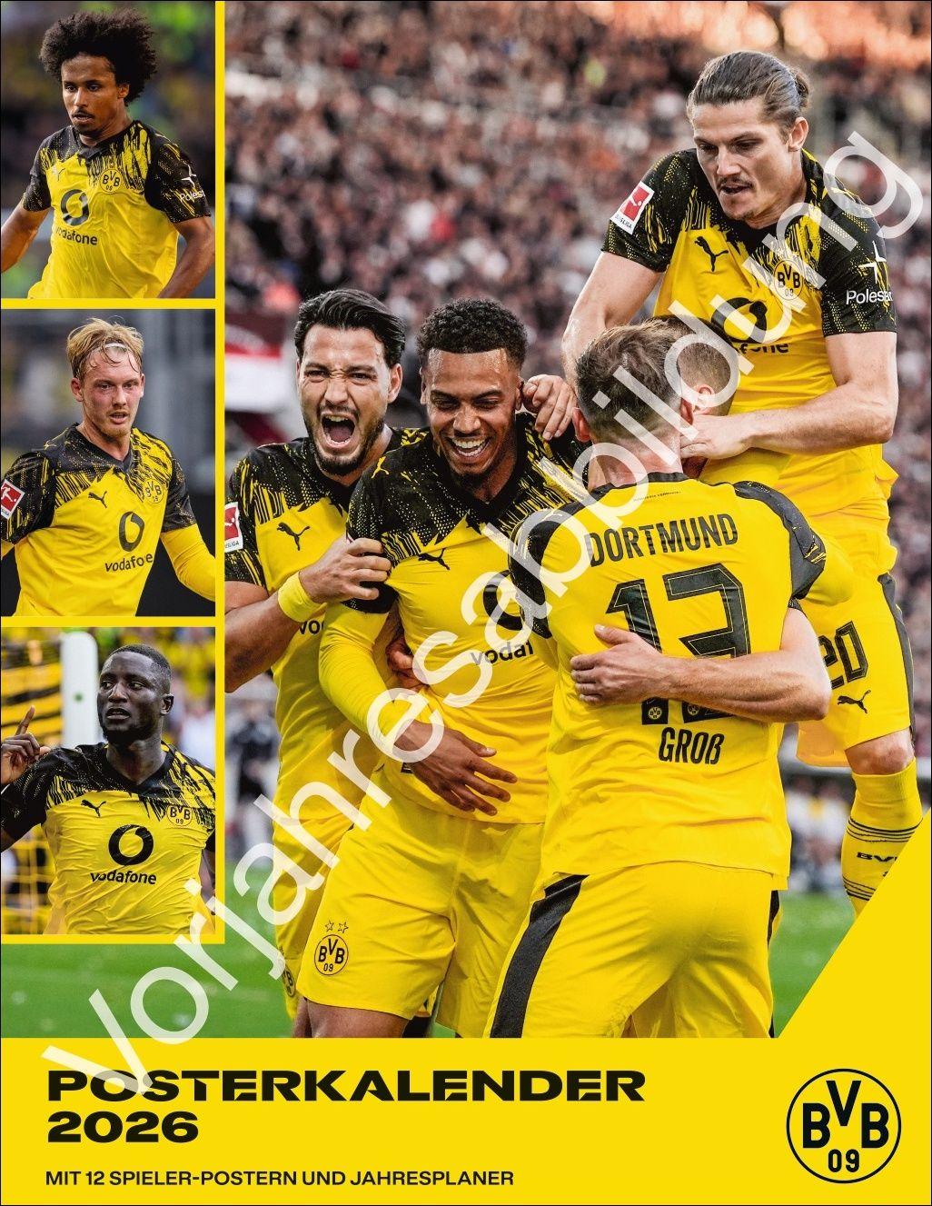 Vorderes Coverbild BVB Posterkalender 2027
