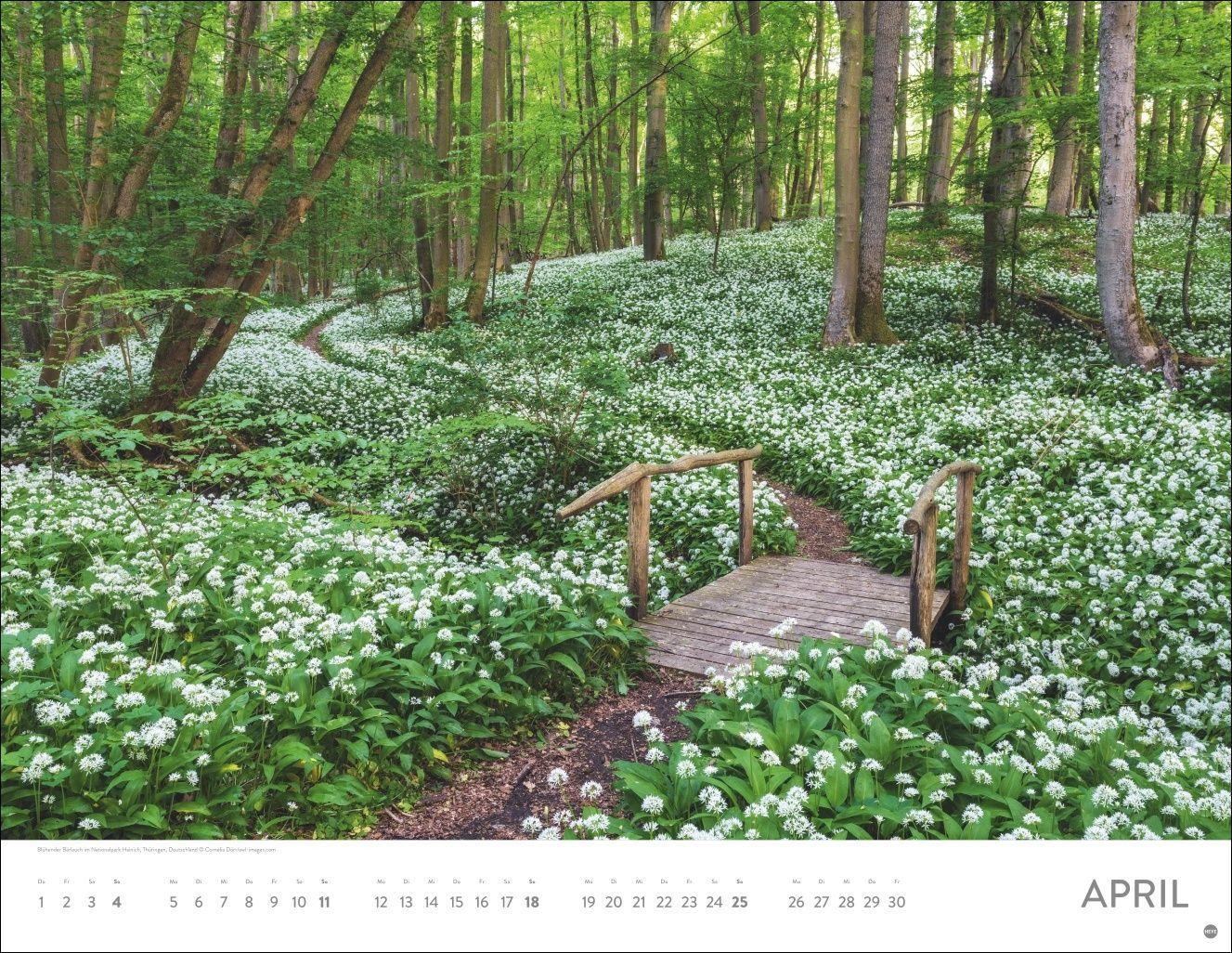 Beispielinhalt (Bild) Auf Traumpfaden Posterkalender 2027