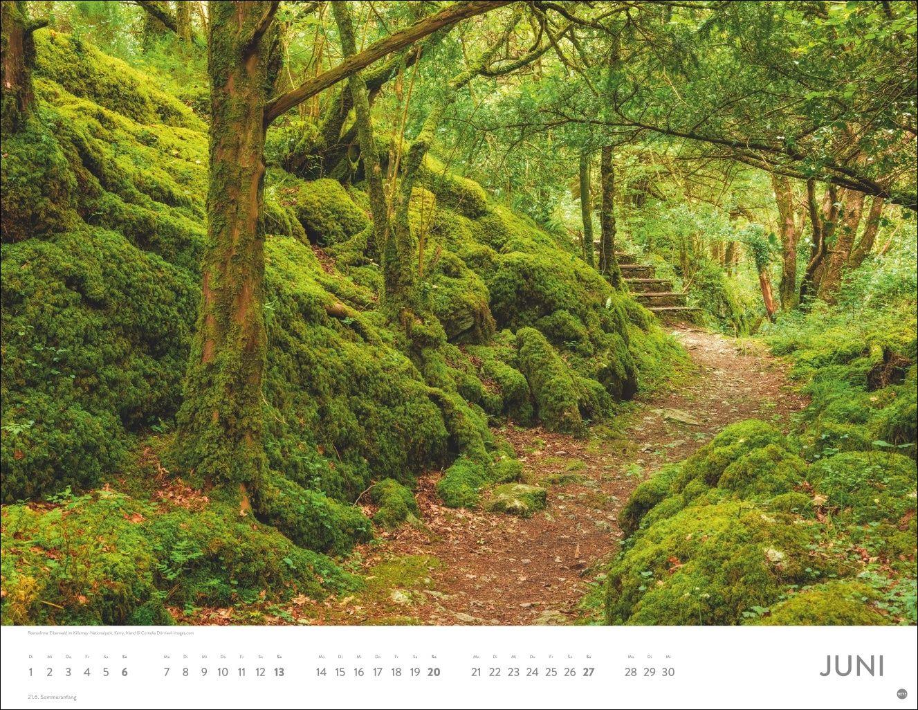 Beispielinhalt (Bild) Auf Traumpfaden Posterkalender 2027