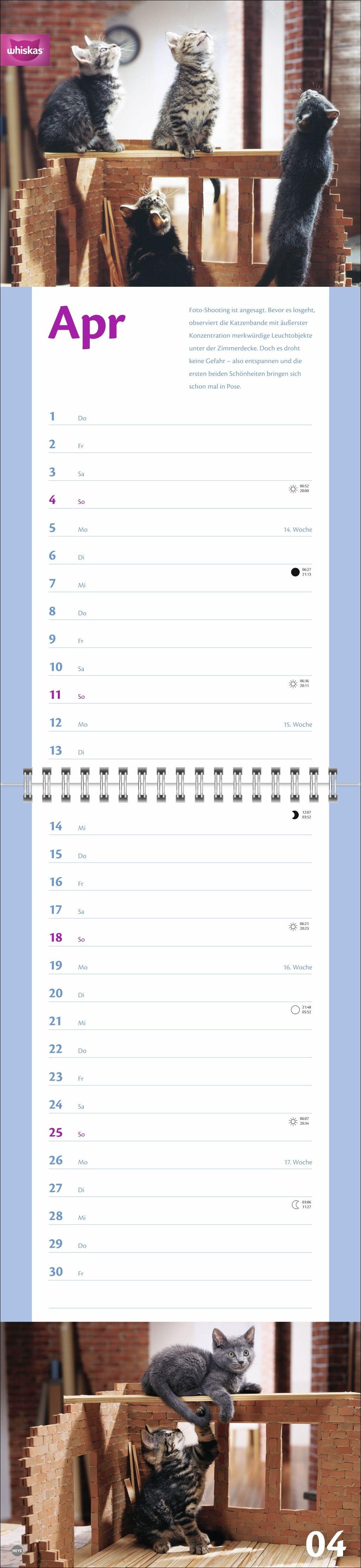 Beispielinhalt (Bild) Whiskas Katzenleben Kalender 2027