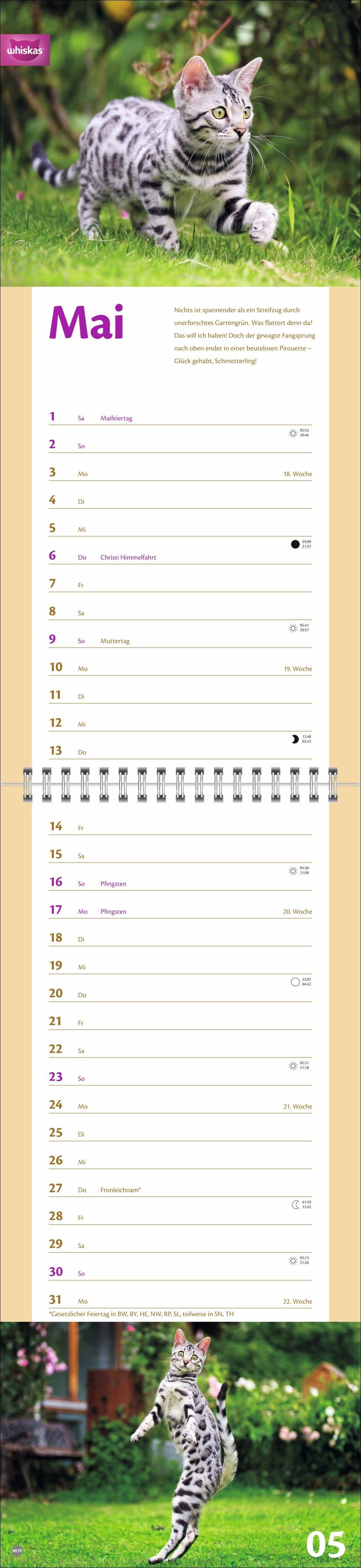 Beispielinhalt (Bild) Whiskas Katzenleben Kalender 2027