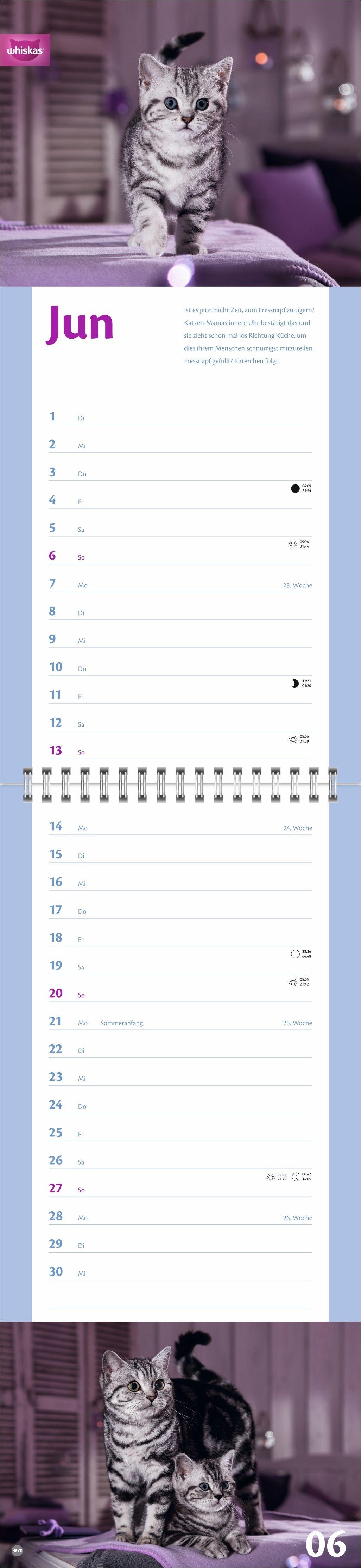Beispielinhalt (Bild) Whiskas Katzenleben Kalender 2027