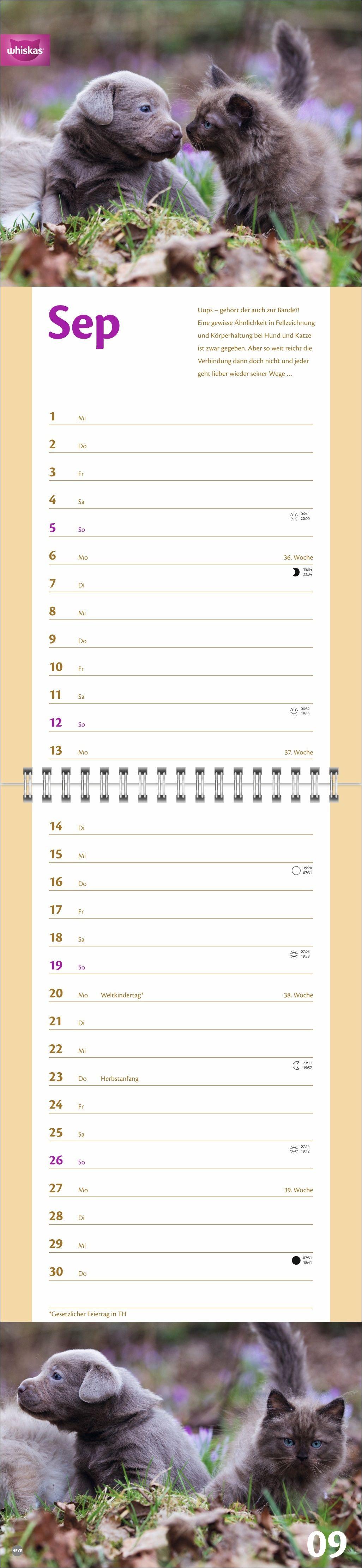 Beispielinhalt (Bild) Whiskas Katzenleben Kalender 2027