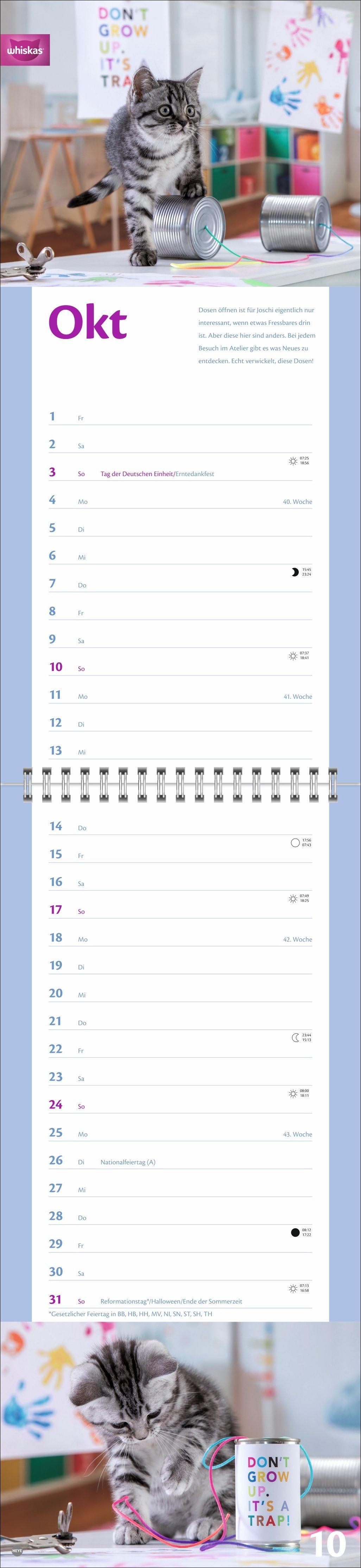 Beispielinhalt (Bild) Whiskas Katzenleben Kalender 2027
