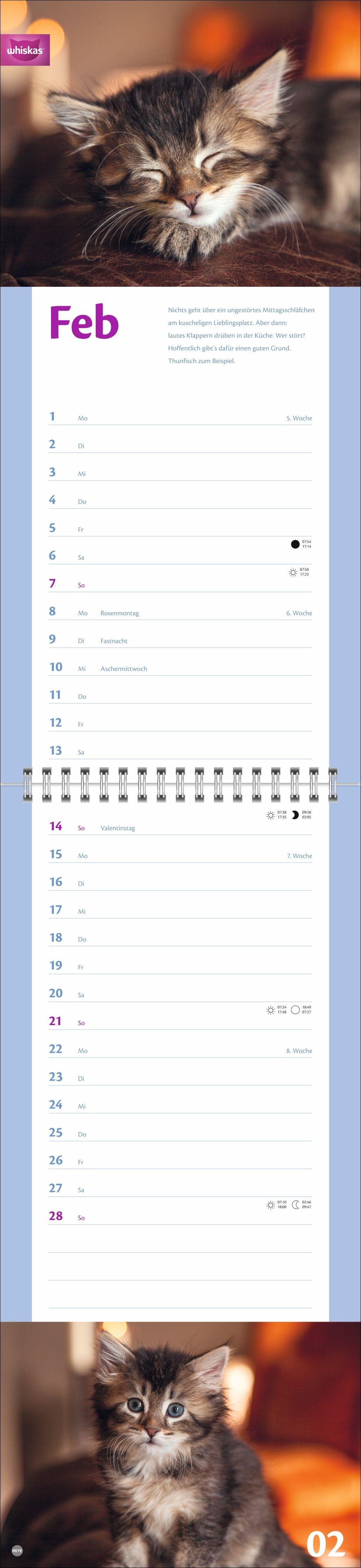 Beispielinhalt (Bild) Whiskas Katzenleben Kalender 2027
