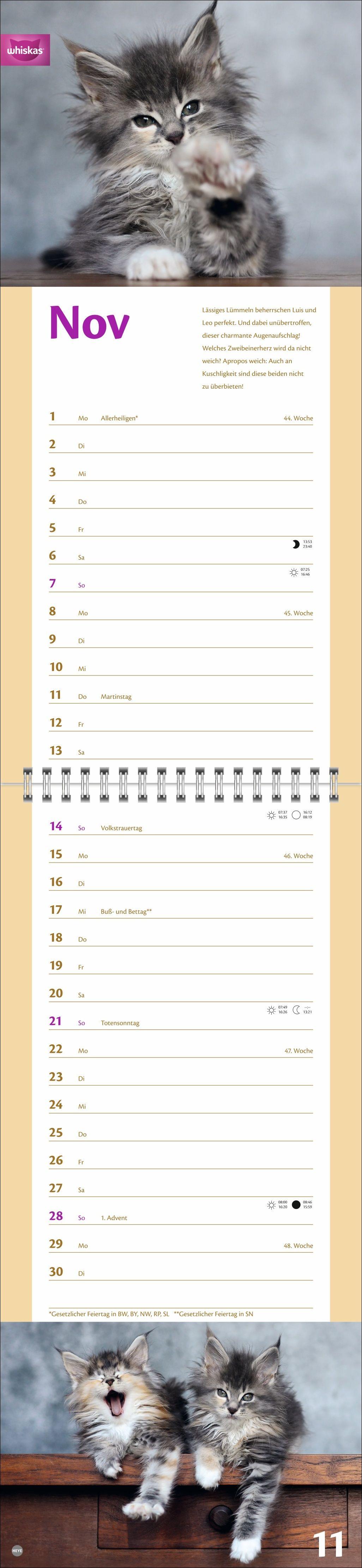 Beispielinhalt (Bild) Whiskas Katzenleben Kalender 2027