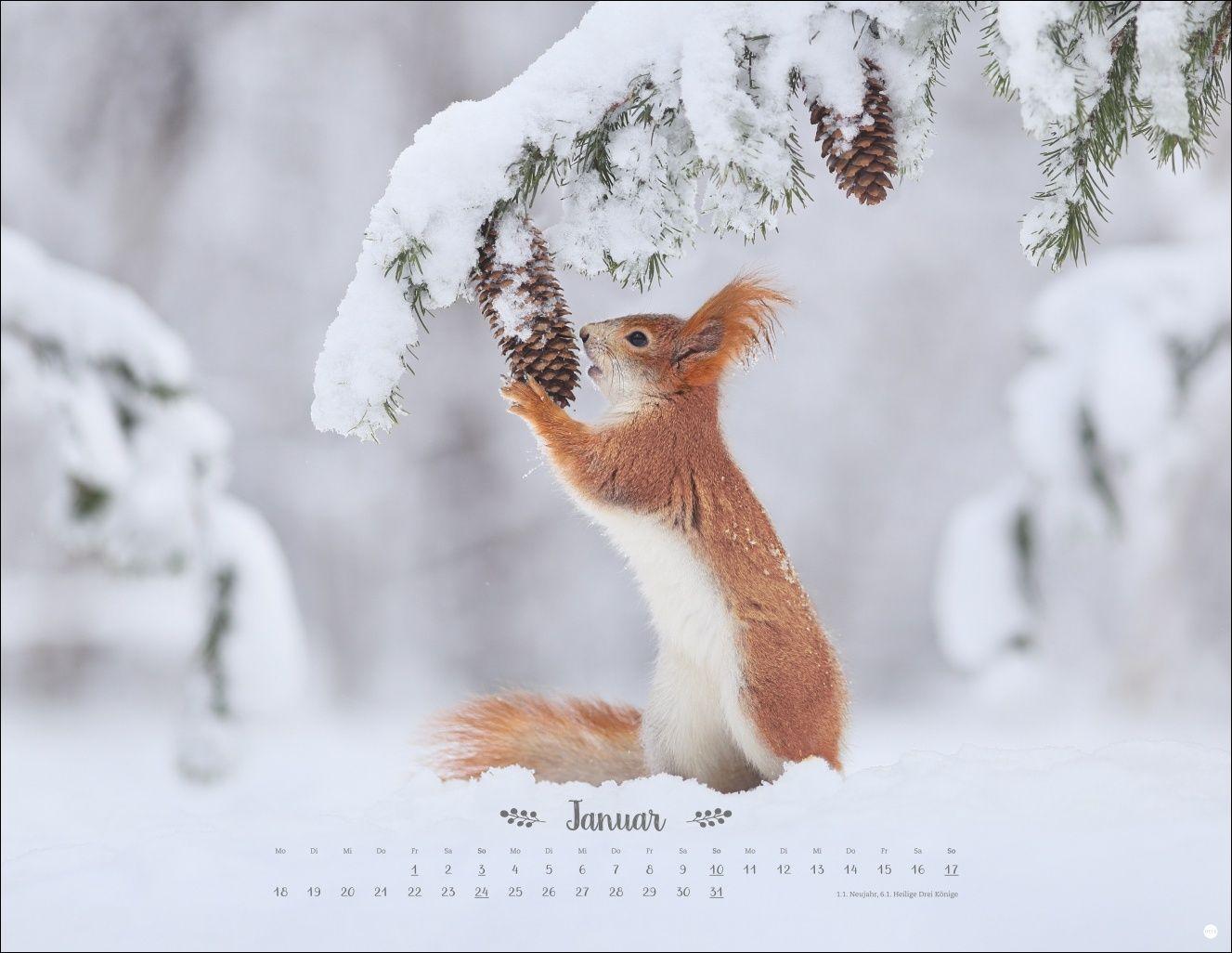 Beispielinhalt (Bild) Vadim Trunov: Märchenhaftes Waldleben Posterkalender 2027