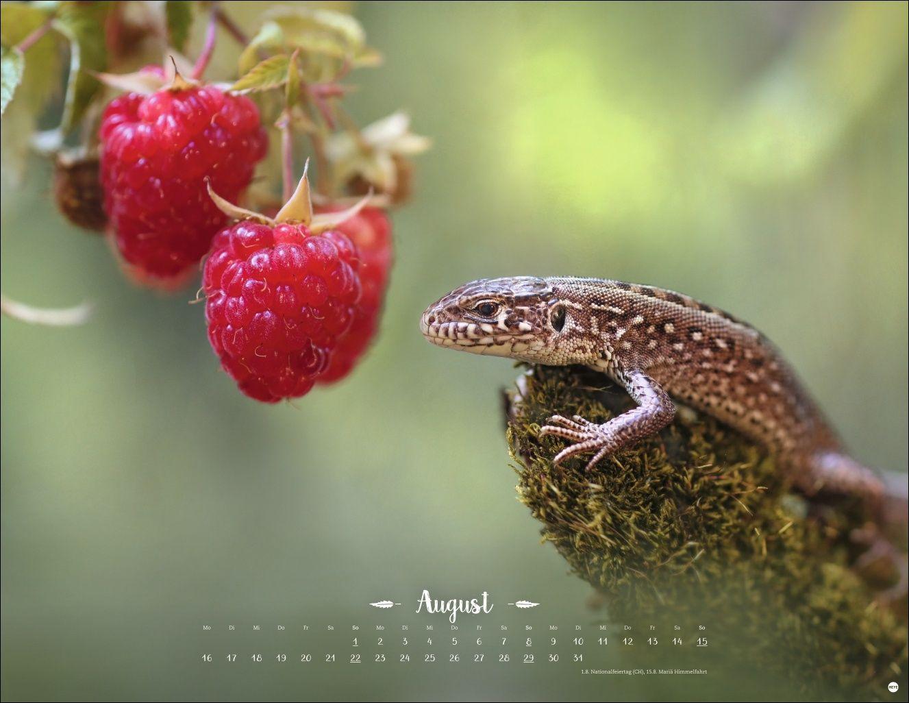 Beispielinhalt (Bild) Vadim Trunov: Märchenhaftes Waldleben Posterkalender 2027