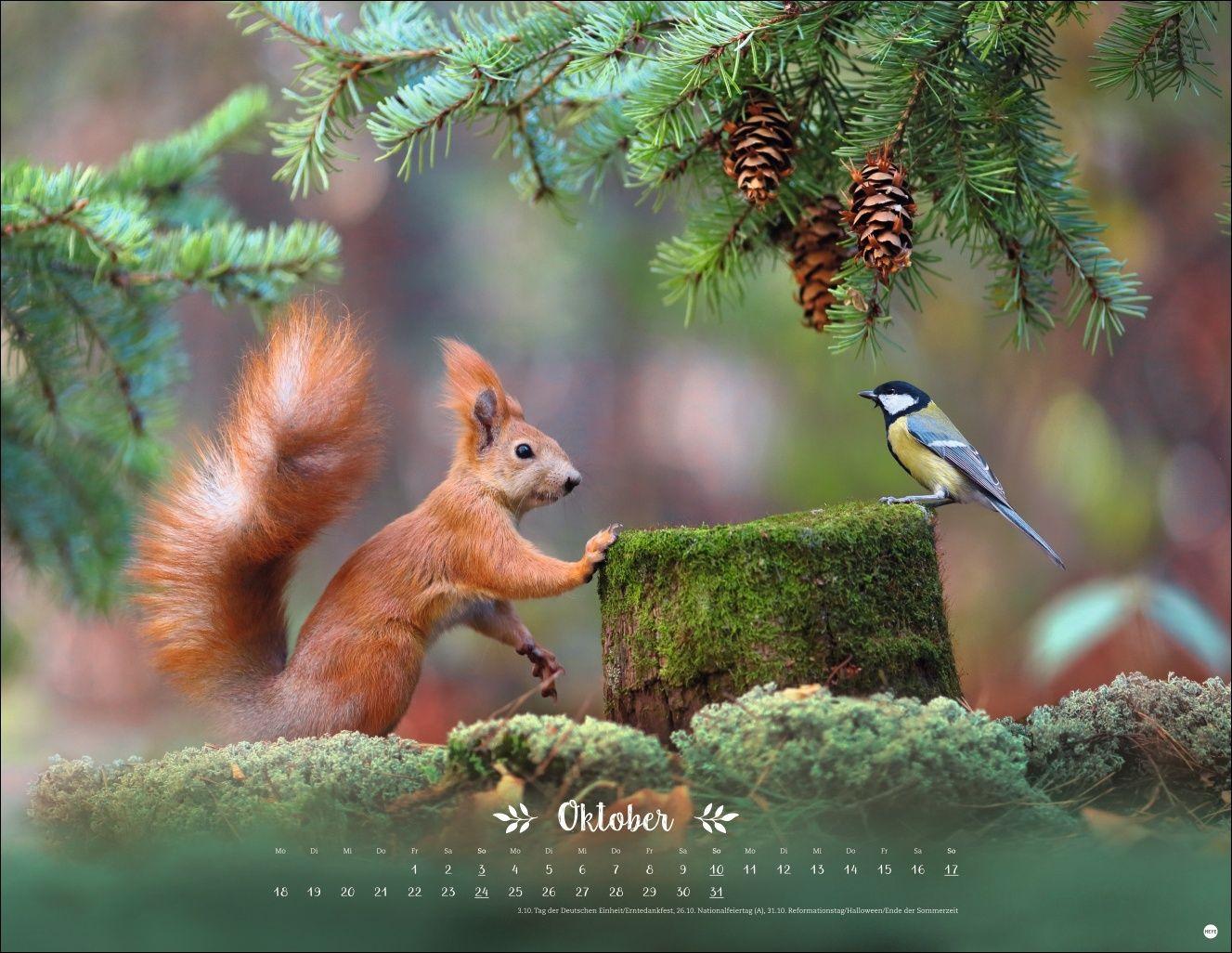 Beispielinhalt (Bild) Vadim Trunov: Märchenhaftes Waldleben Posterkalender 2027