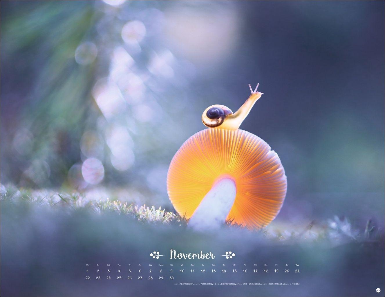 Beispielinhalt (Bild) Vadim Trunov: Märchenhaftes Waldleben Posterkalender 2027