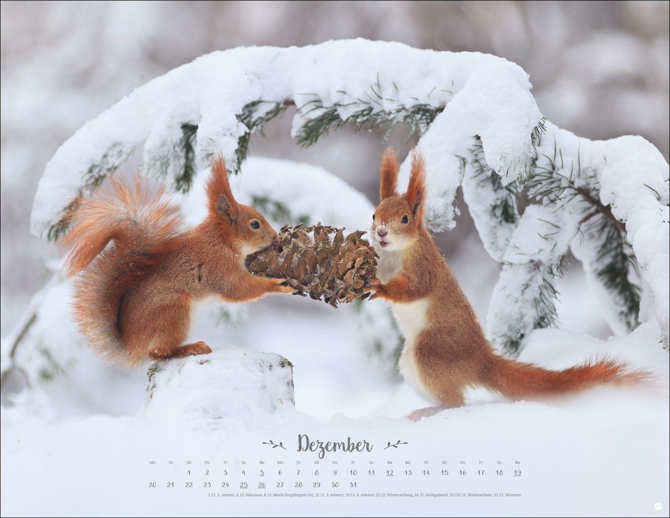 Beispielinhalt (Bild) Vadim Trunov: Märchenhaftes Waldleben Posterkalender 2027