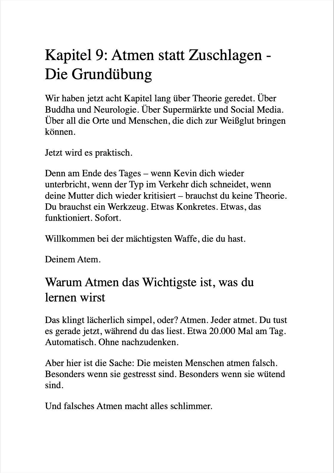 Beispielinhalt (Bild) ZEN UND DIE KUNST, DEN LEUTEN NICHT AUF DIE SCHNAUZE ZU HAUEN